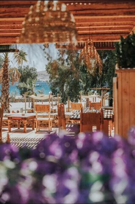 365e4c1a-5d85-4ba4-a66a-8e90d9a795fa